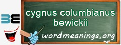 WordMeaning blackboard for cygnus columbianus bewickii